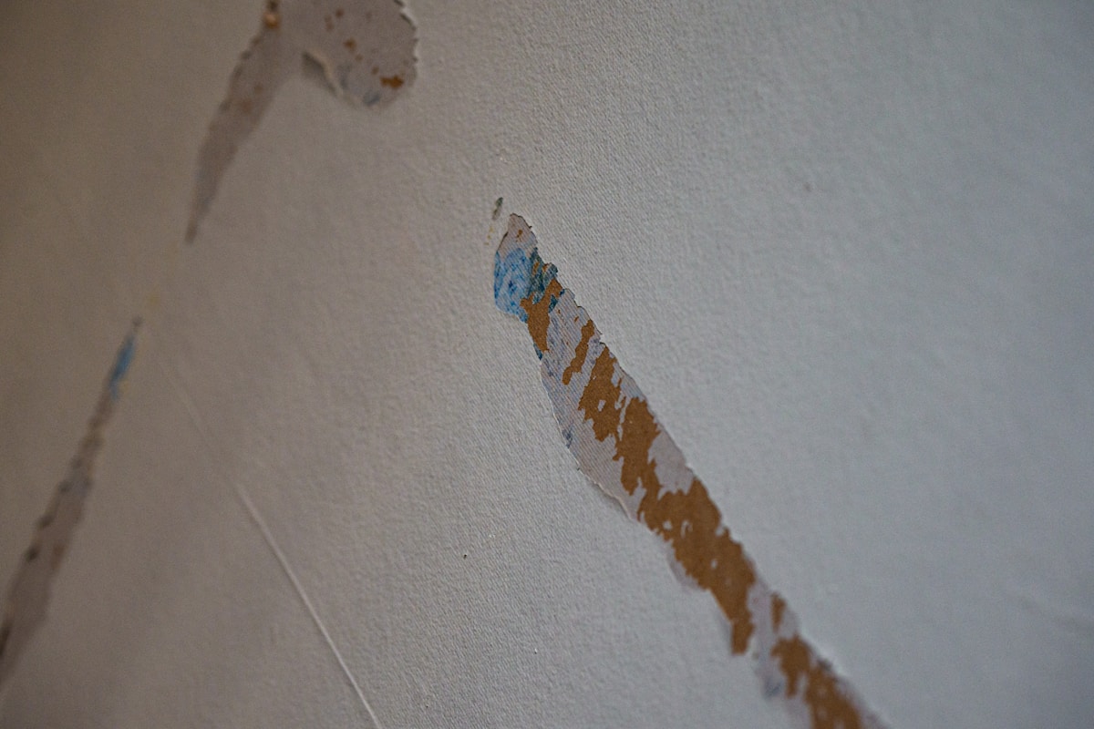 Mold Remediation service in Anniston, AL